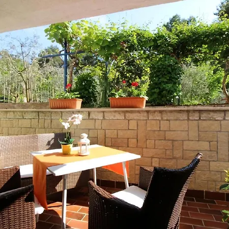 Apartment Studioapartment Sabina Mit Grill, Am Waldrand *